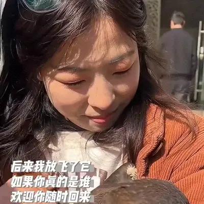 离谱！四川女子晒太阳，天降游隼扑进臂弯，女子当场懵了。

四月的天气特别舒服，阳