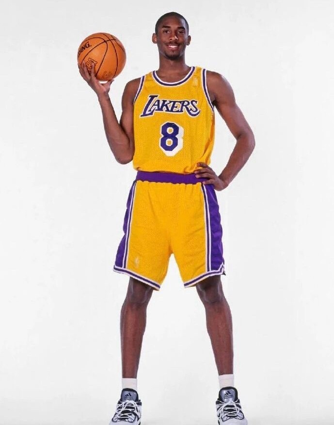 人生，就是磨难在枝头上，被晾晒成了坚强，静静选择，选择该选择的，遗忘该遗忘的，让