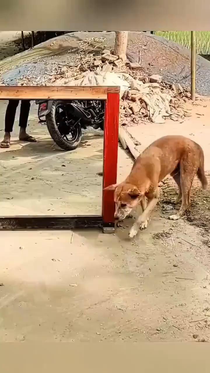 哈哈哈。