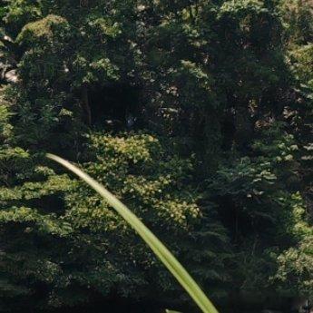 每日一善 决心走一条路的时候就不要左顾右盼风景再美也别流连也应当清楚自己的目的你