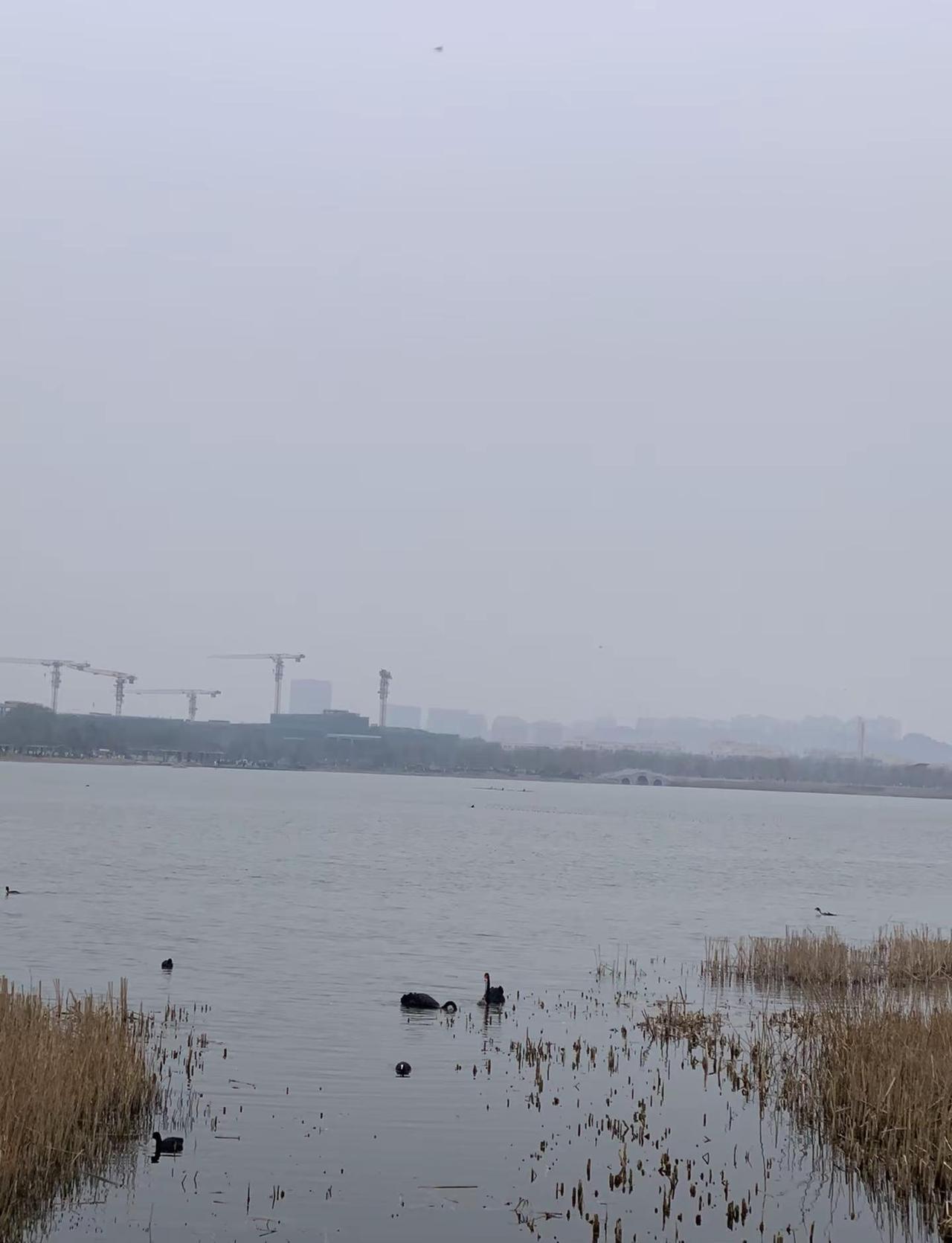 新的一年，依旧做个温暖的人，以最大的平静去爱我们不确定的生活，人静，心安，物简，