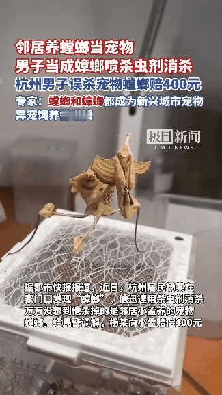 杭州一男子发现家中有疑似蟑螂的虫子出现，于是他就拿来杀虫剂对着“蟑螂”喷了几下，