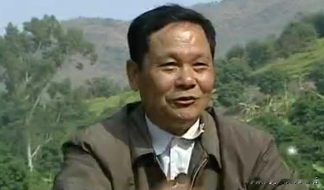 “一棵树10万！”广东一位68岁的老人，借1200万种树1000亩橄榄树，搞得自