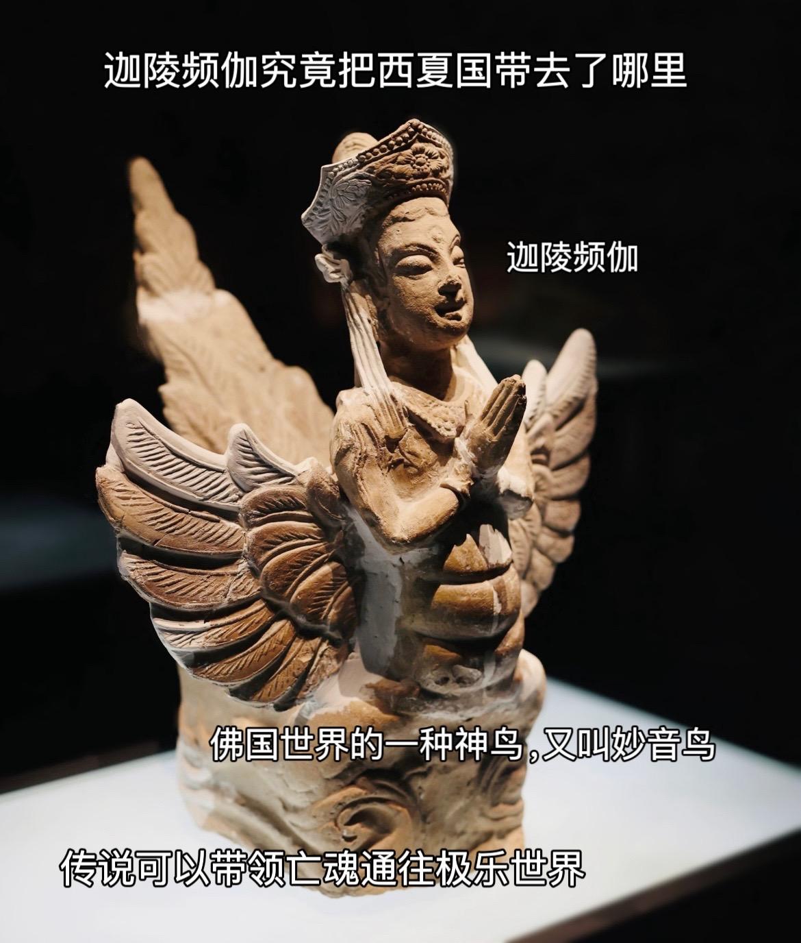 是谁如此痛恨党项人，迦陵频伽究竟把西夏国带去了哪里
