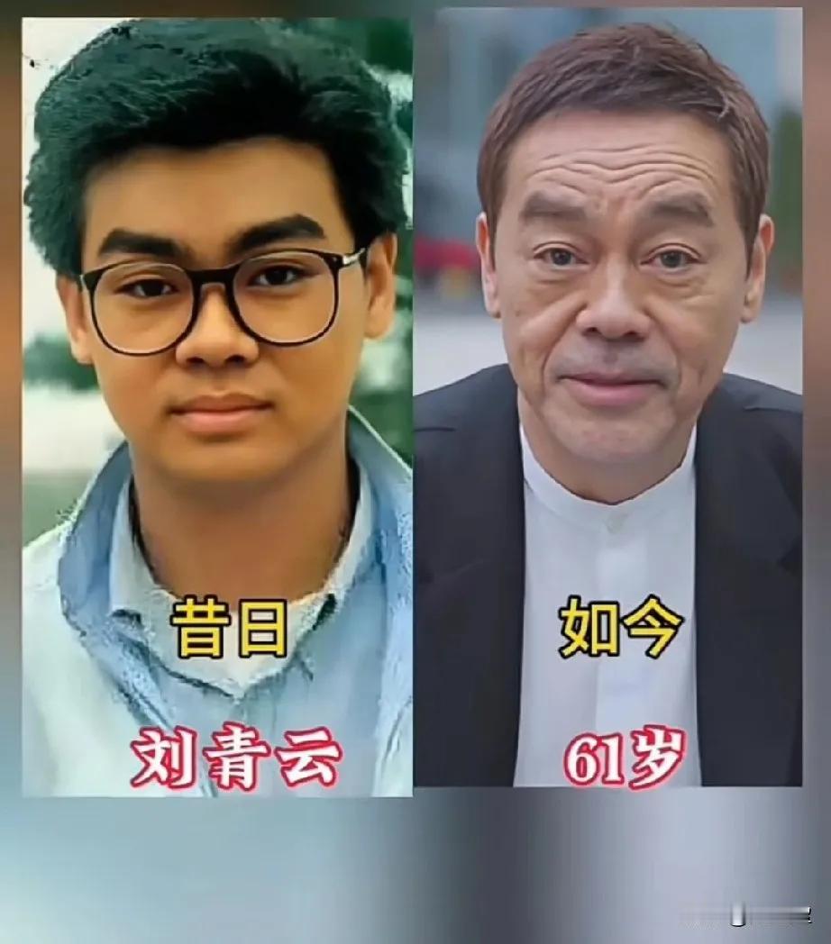 年轻的时候颜值让人怀念。
 刘青云年轻时太帅了, 颜值不输小鲜肉, 绝对奶油小生