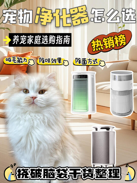 猫咪掉毛高发期？！买前必看宠物净化器测评！