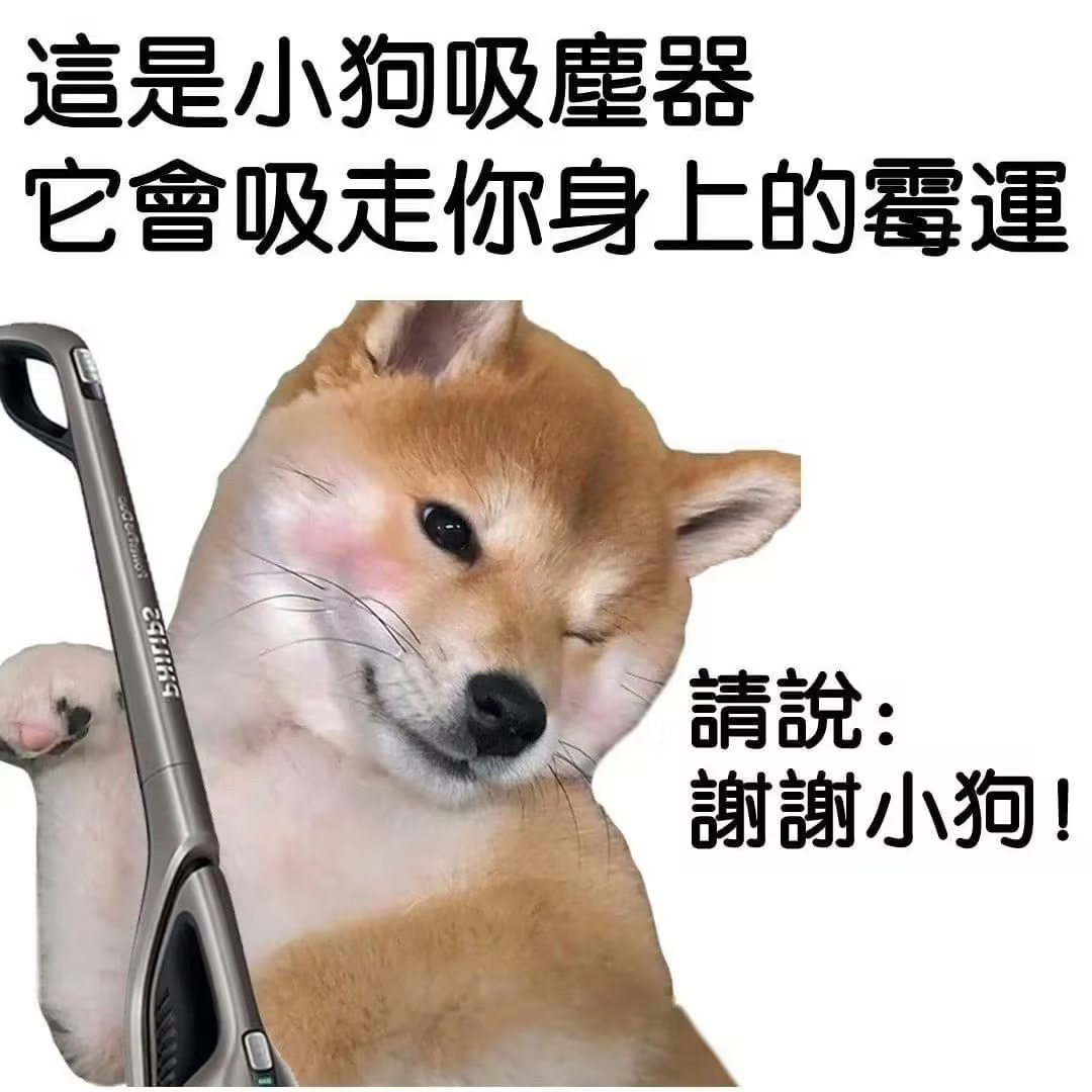 谢谢小狗 ​​​