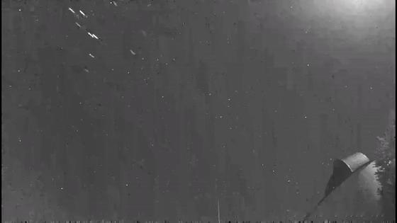 昨晚的英仙座流星雨，许多人见证了多颗流星同时燃烧的罕见瞬间。
你看到流星了吗？