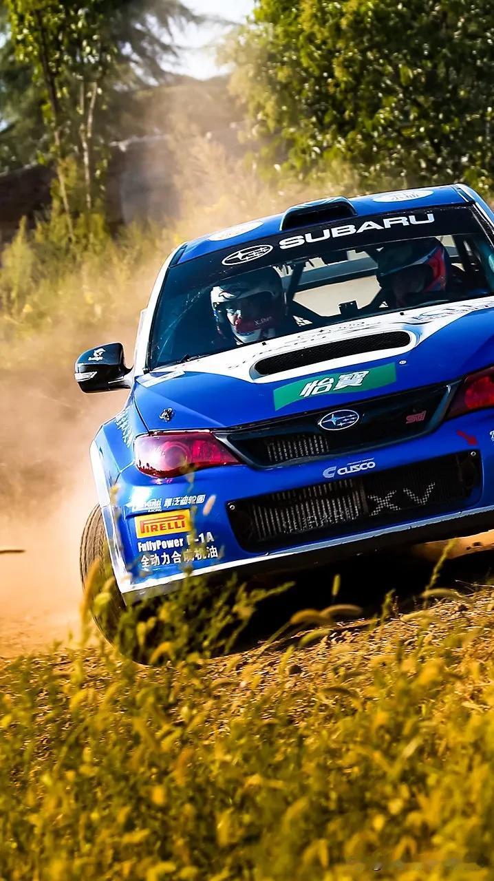 感觉比翼豹还帅