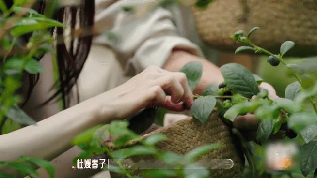 恋综男嘉宾约会前还要彩排笑晕，雷童完全是恋爱备考型选手！扎染约会提前彩排熟悉工序