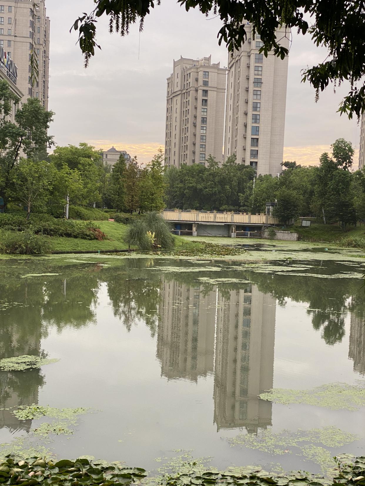 我的今日状态：😁轻松愉快
我这里的天气：☀️晴天
