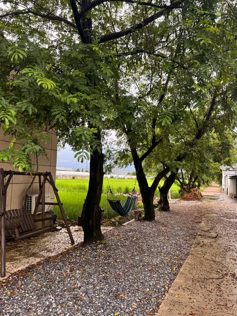 今天心情和这大雨一模一样 