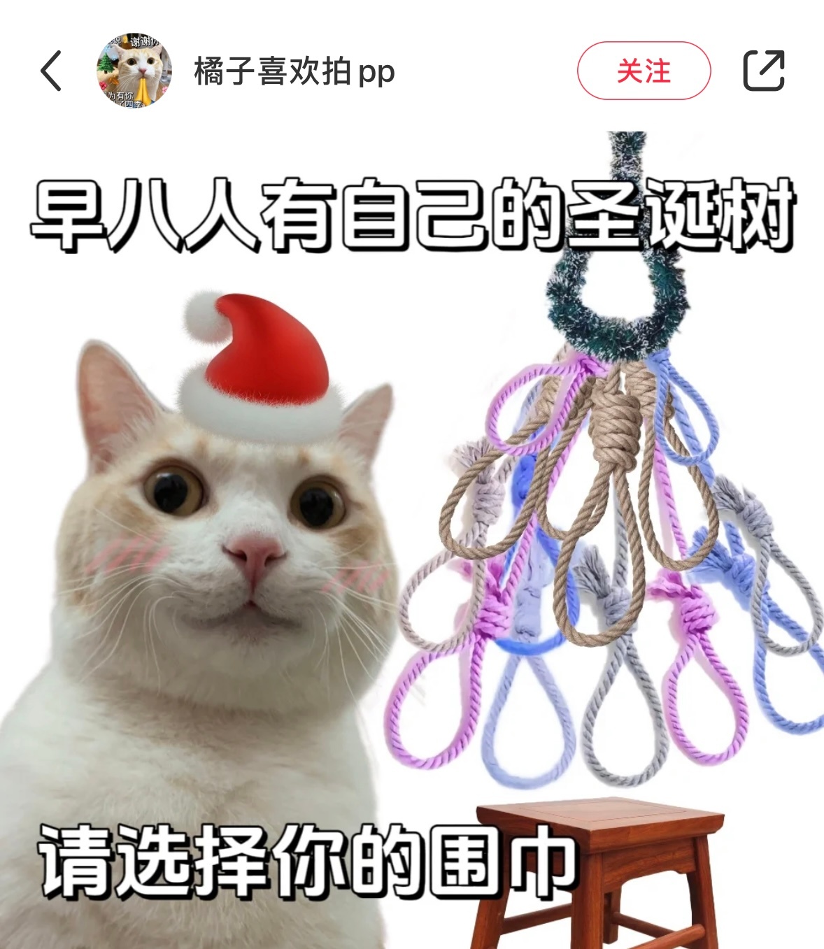 早八人有自己的圣诞树 ​​​