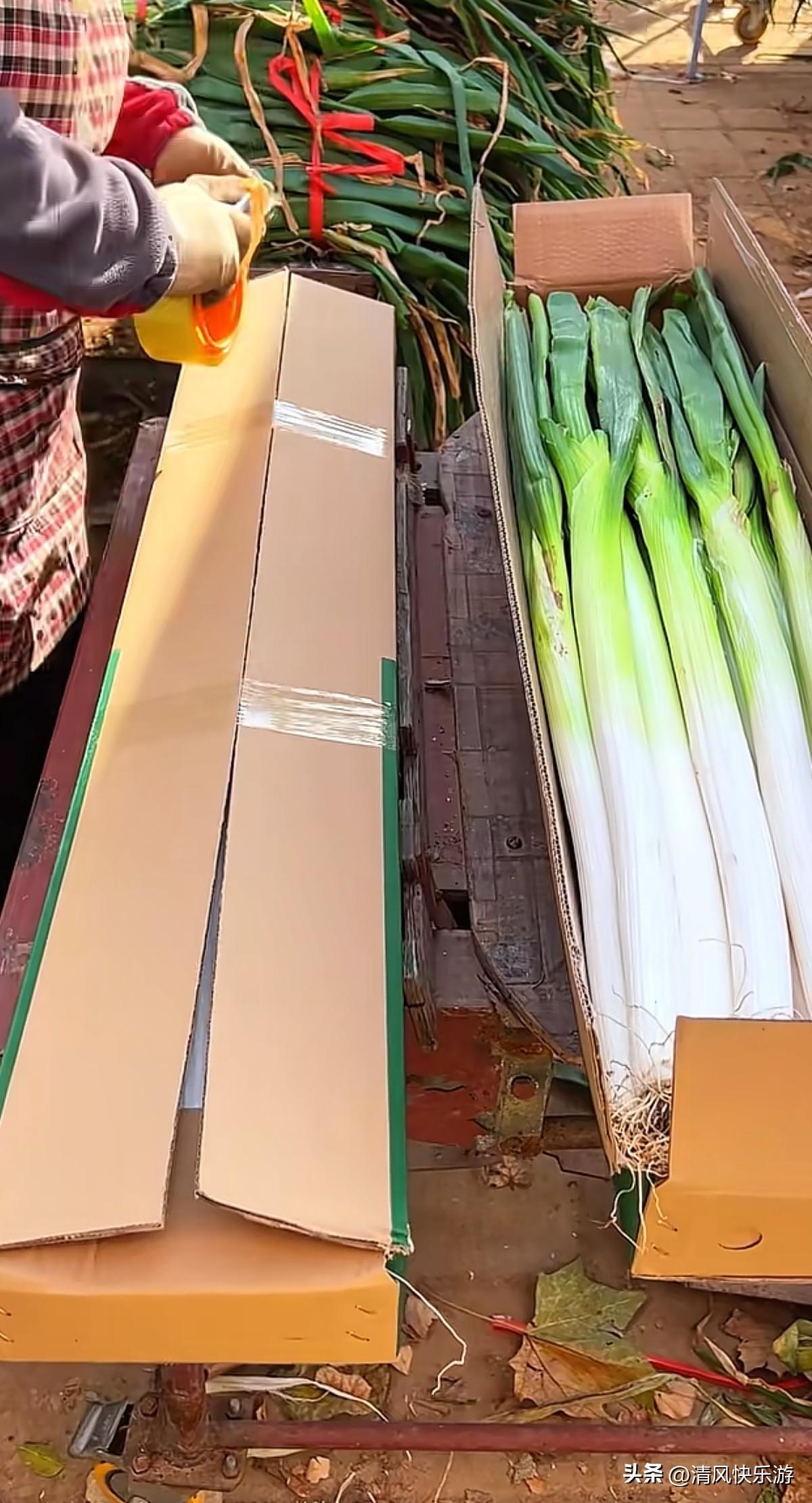 一个人在家做电商，大葱又卖爆单了，加油干