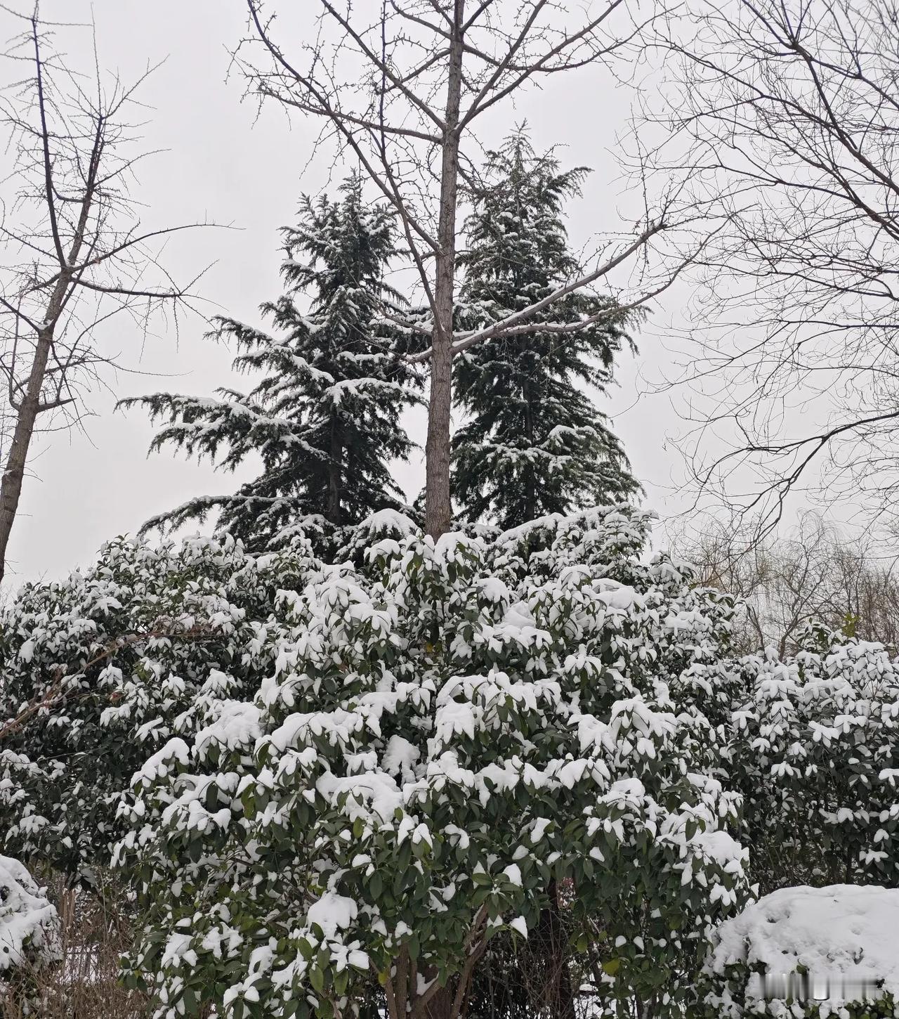 在工作中，

如果能够凝心聚力，

全力以赴地将工作做到最好，

并且最终得到领