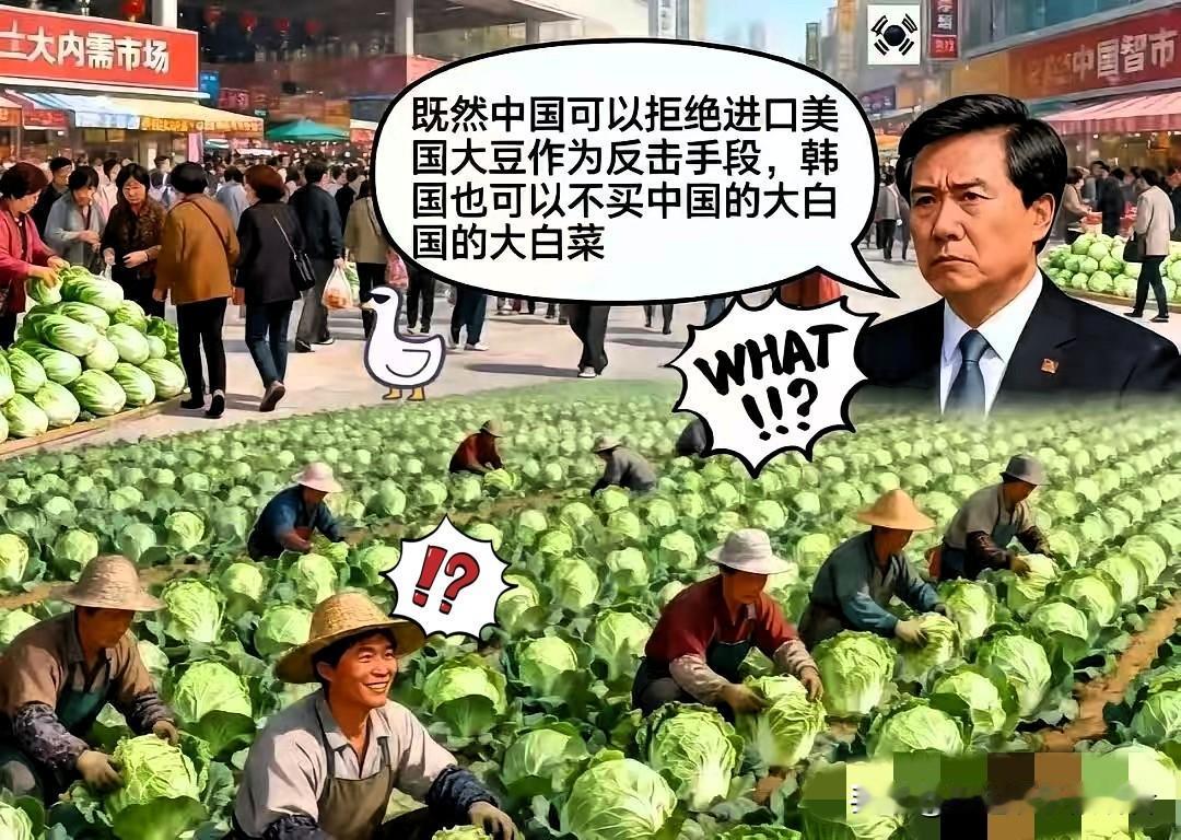 韩国某智库称：“既然中国可以拒绝进口美国大豆作为反击手段，韩国也可以不买中国的大