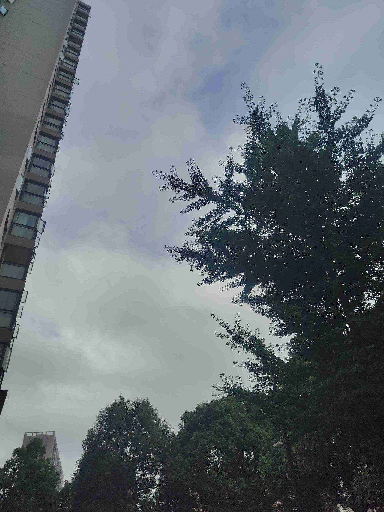我的今日状态：😁轻松愉快
我这里的天气：🌧下雨