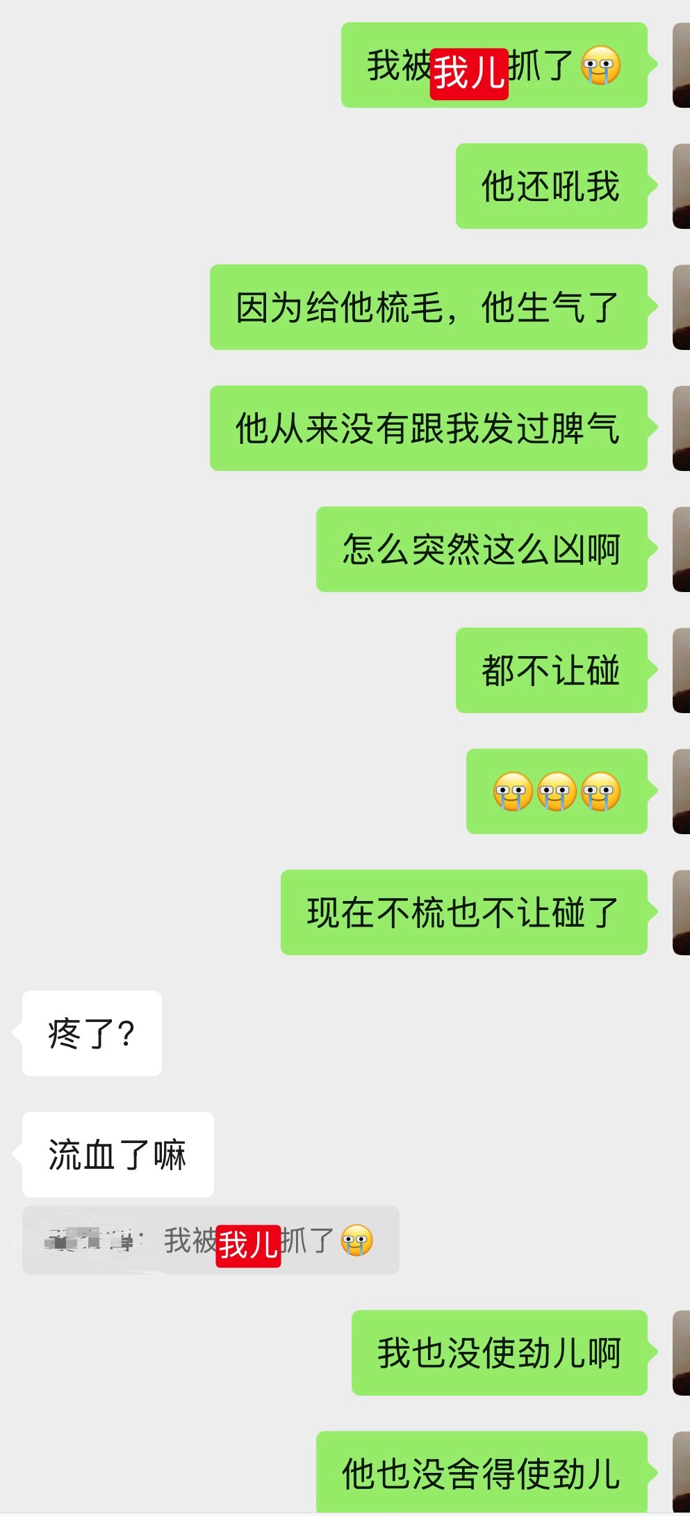 我和我儿的感情出现裂缝了，养了四五年从来没挠过我一下，可能对别人来说被挠很正常，