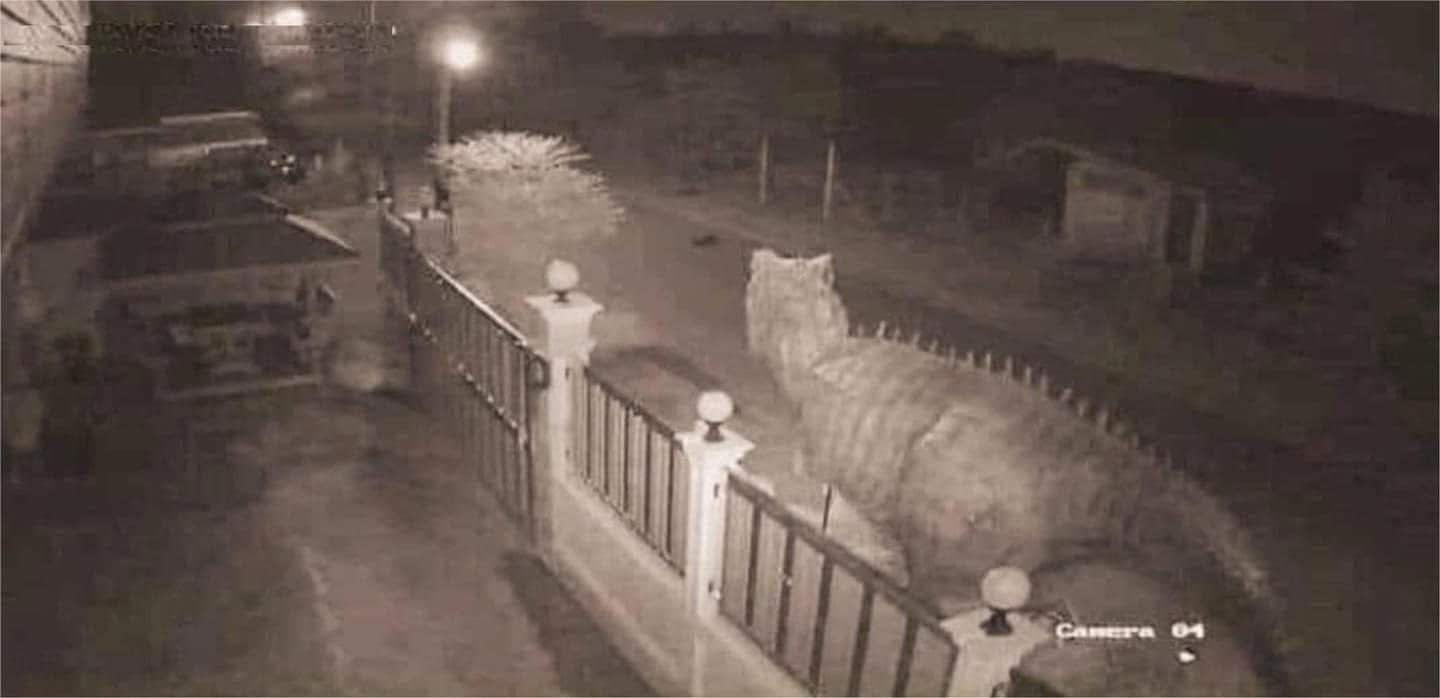 看了监控才知道发生了什么 ​​​