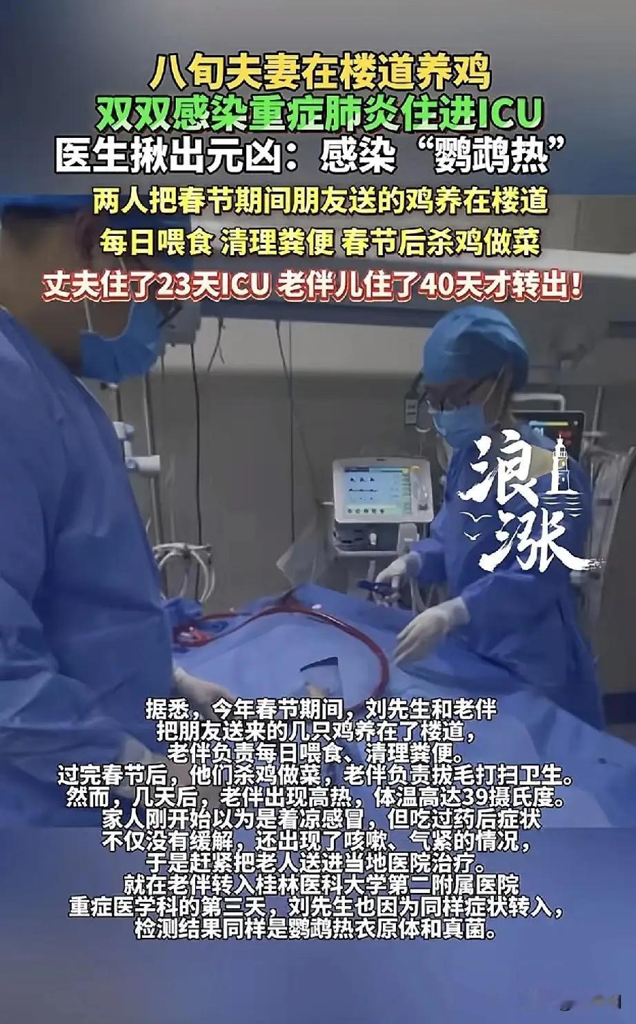 老年人在城市生活中的孤独与无助，以及他们对于生活乐趣和陪伴的渴望。


刘大爷和