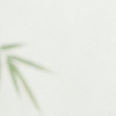每日一善 ⭐️阳光信用 真诚待人，即使秋叶飘落、鲜花凋零，也不会感到孤独；真诚待