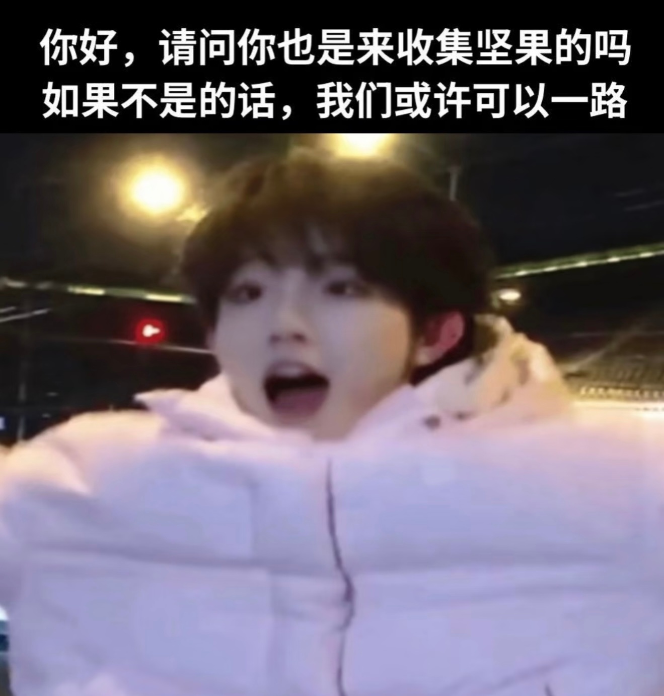 他只是一只馕 