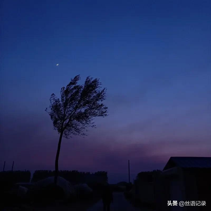 晚饭后
行走了很长时间
还是想在外面吹吹风
走过一段又一段路程
感受着夏日晚风的