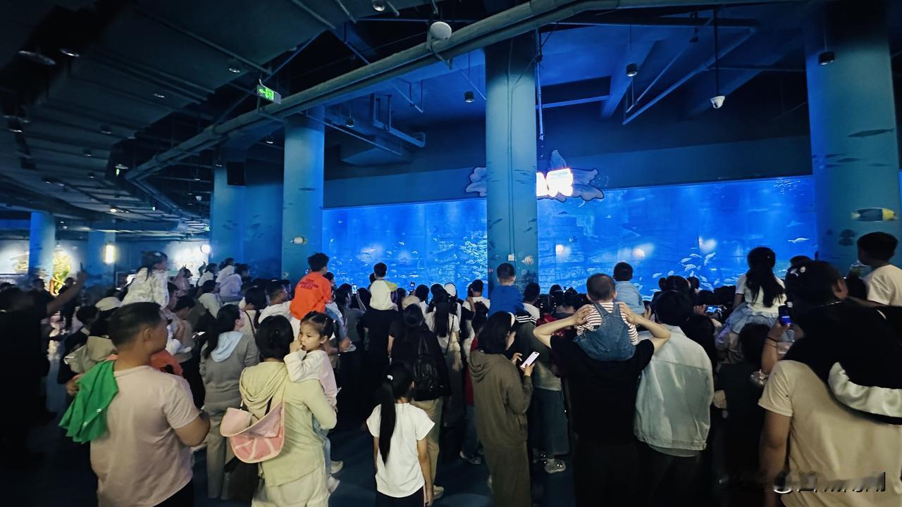 五一假期最后一天，临沂启阳极地海洋王国依旧人山人海，游客爆棚。