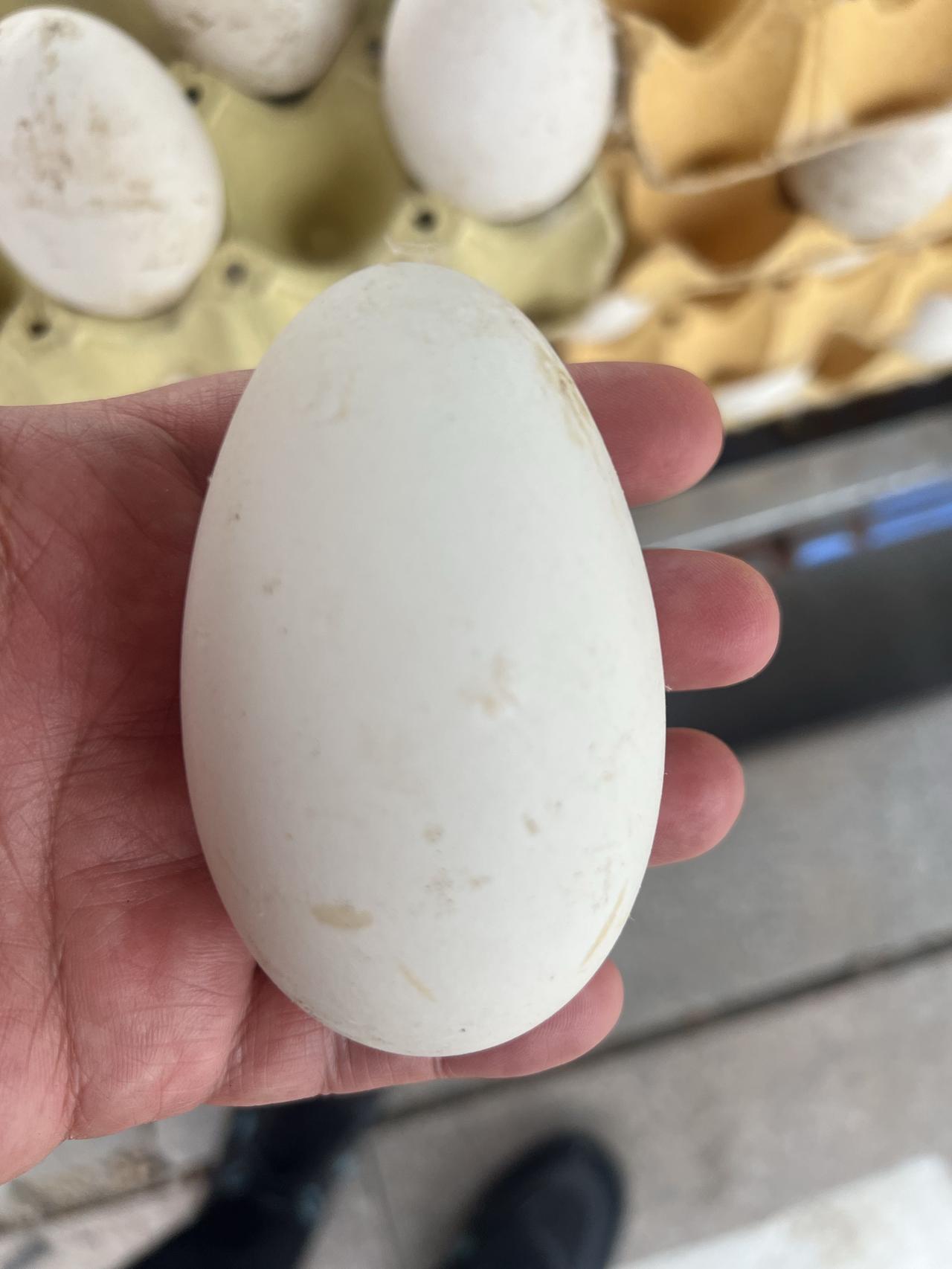 双赢、多赢，此乃利益共同体的合作准则。
近日，有关瓦科去留之事再度引发球迷关注。