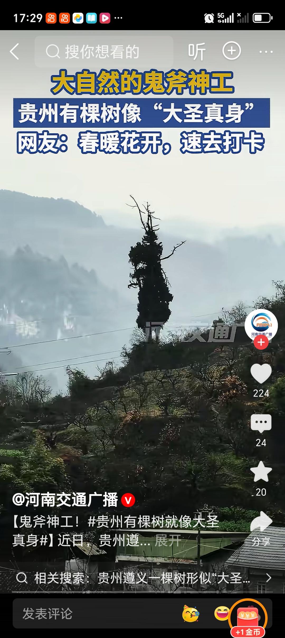 如何看待贵州遵义一棵树形似“大圣归来” 贵州遵义那棵形似“大圣归来”的树太绝了！