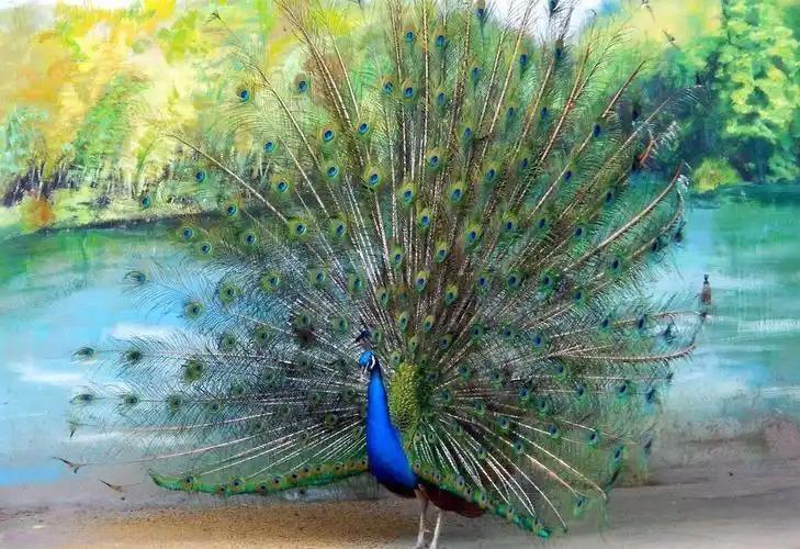 上联：塞北春迟，马蹄碎雪寻芳迹
下联：江南冬晚，雀屏照水觅鸾俦