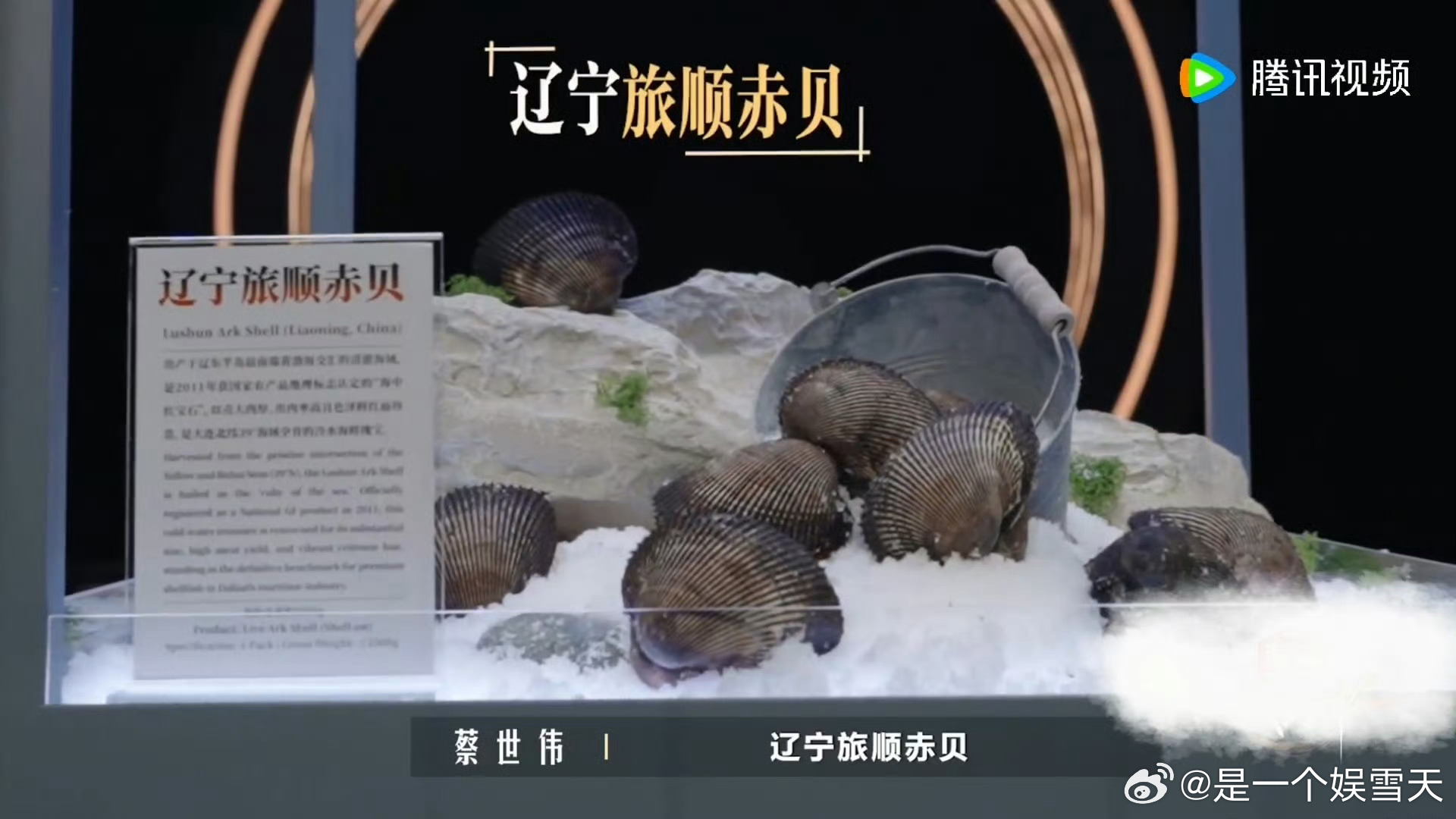 国家级认证食材有多难得赤贝原来是东北家乡菜🌊东北不止有山珍，更有顶级海产，旅顺