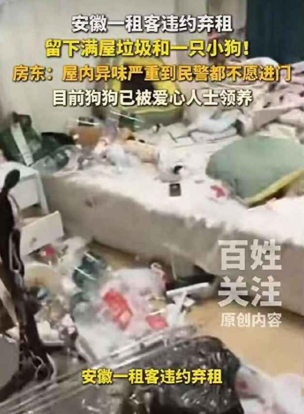 安徽芜湖，女子租房四个月后忽然搬离，房东开门后，发现她什么都没有带走，包括一条萨