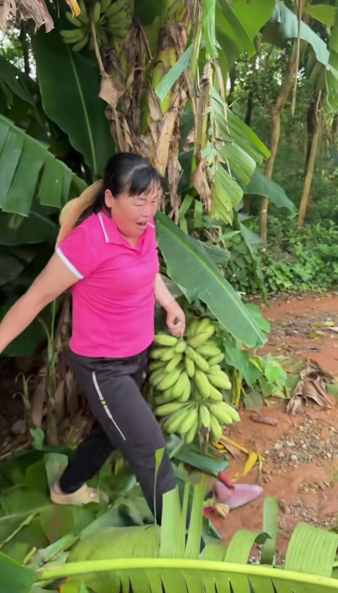 全红婵妈妈真能干，全红婵妈妈简直就是勤劳善良的代名词啊！

全红婵在跳水界那可是