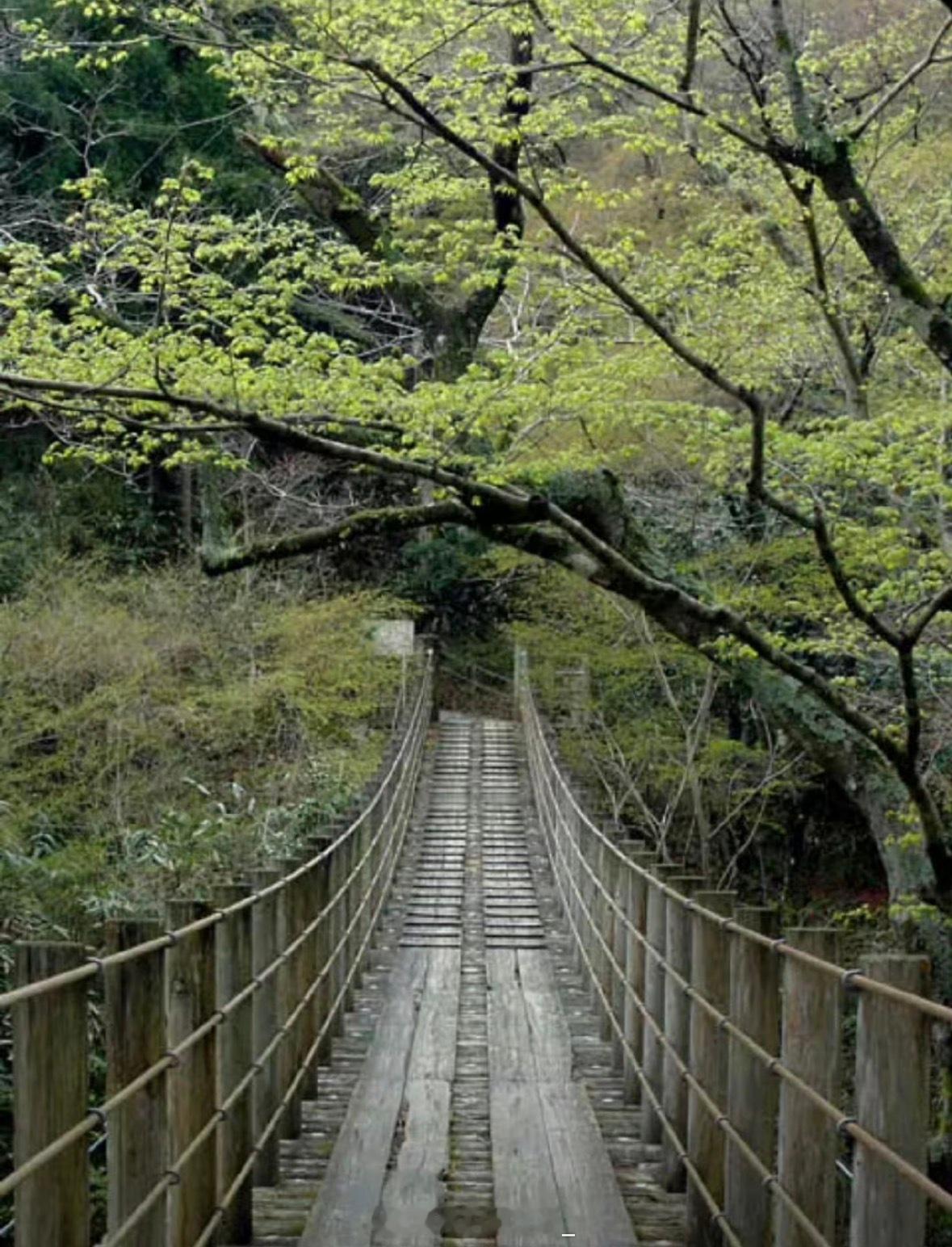 小时候让我不敢看长图的罪魁祸首： 