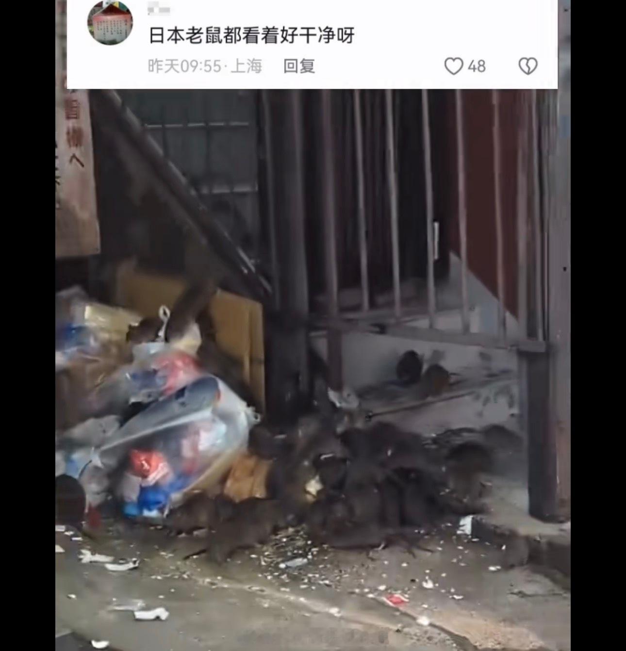 经典殖人傻事殖人迷惑行为
