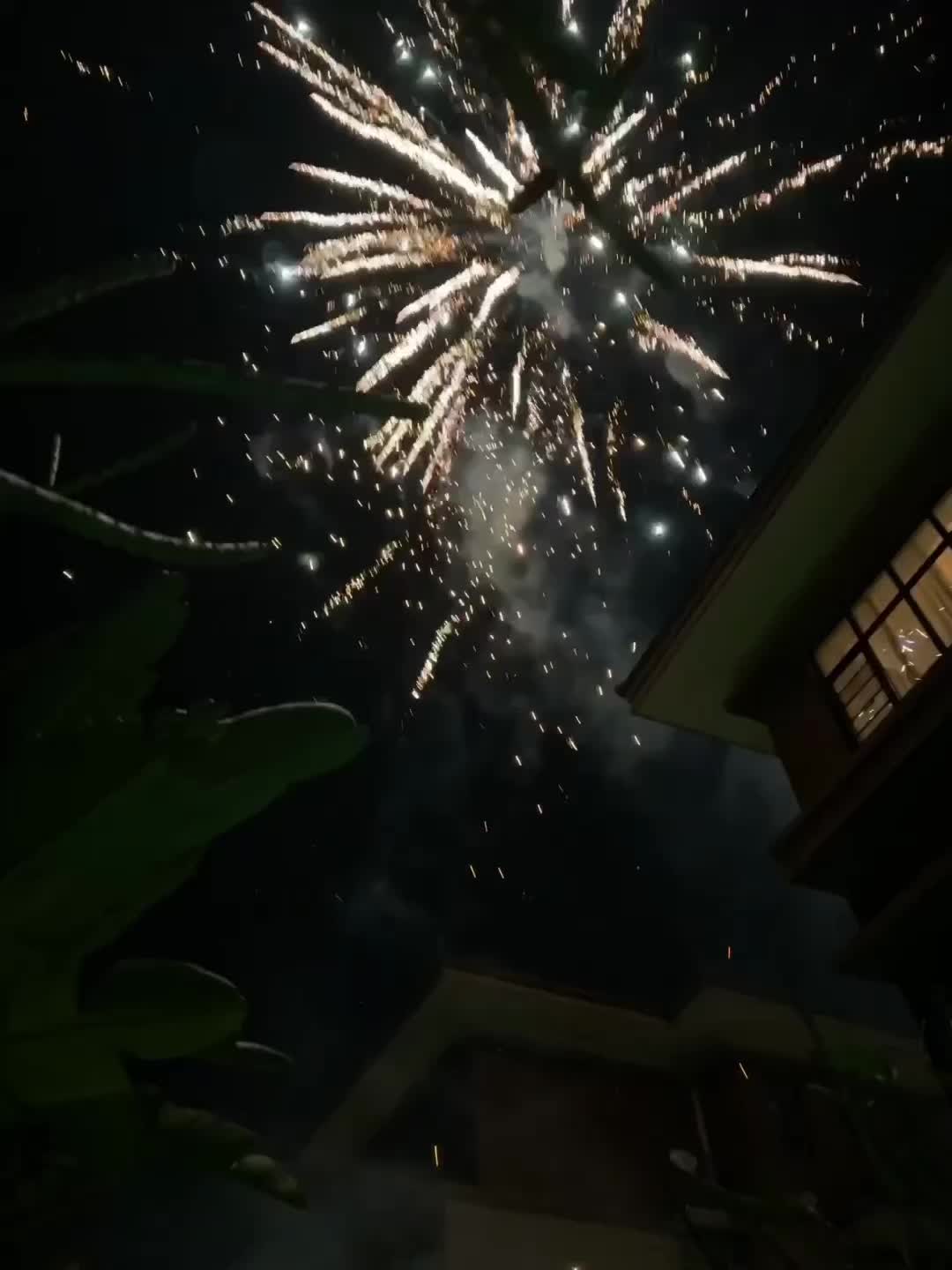 我想要的不过是我哭泣时能承载我眼泪的肩膀