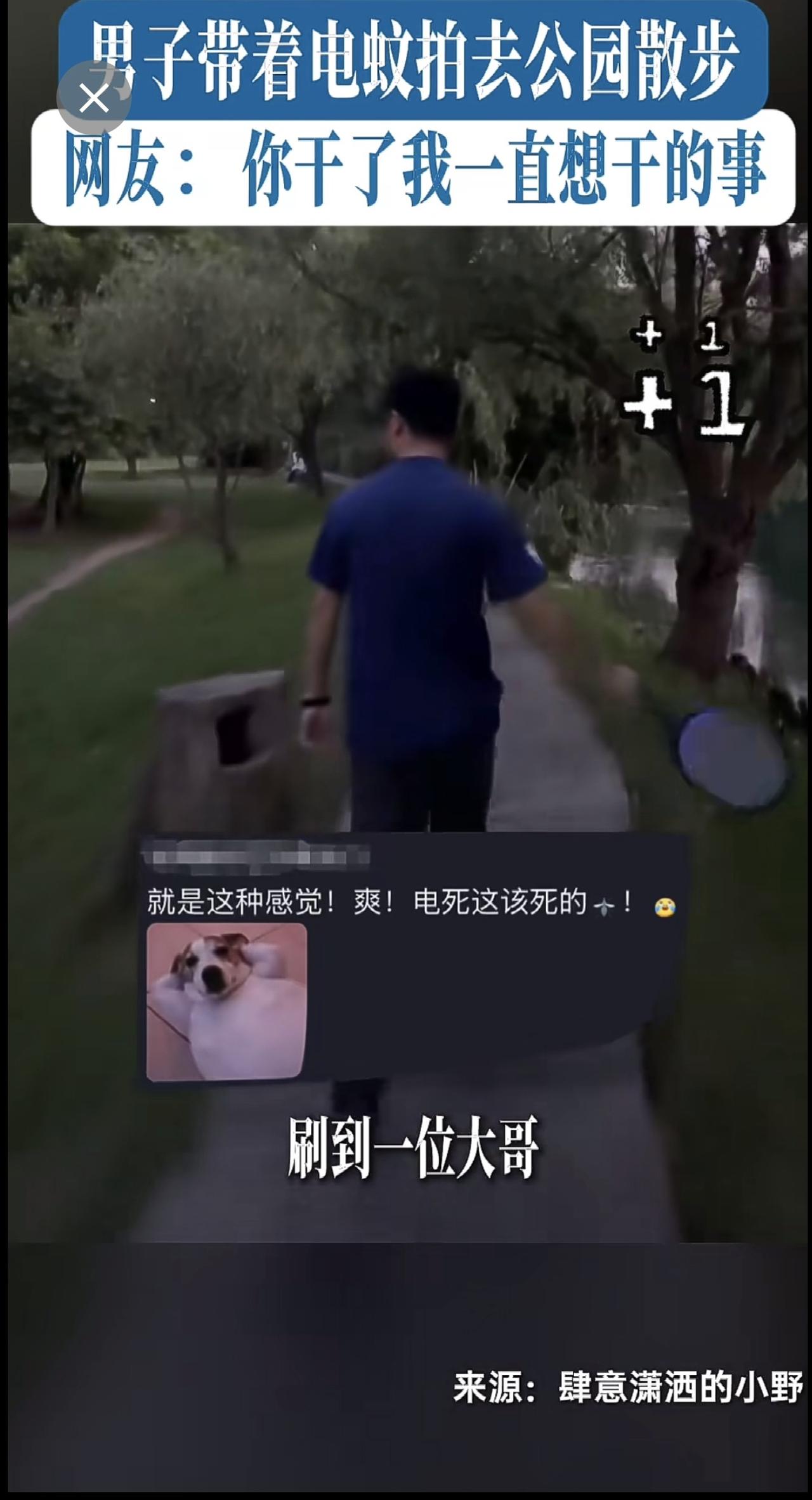 男子带着电蚊拍去公园散步，网友：你干了我一直想干的事[呲牙]（来源：肆意潇洒的小
