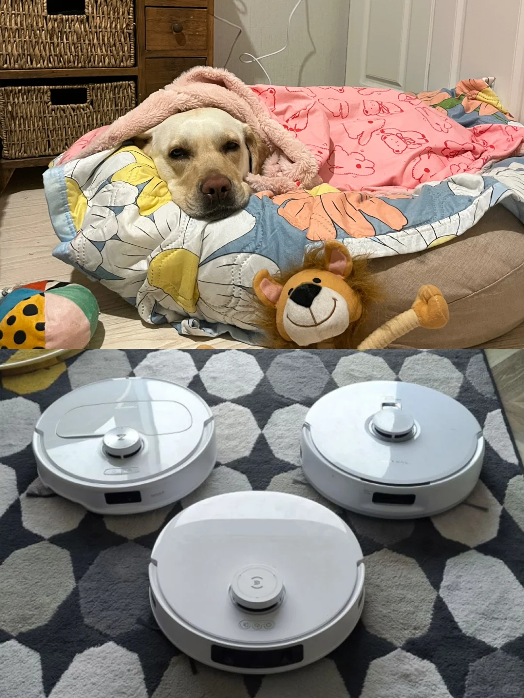李佳琦直播间买的石头，下车了！