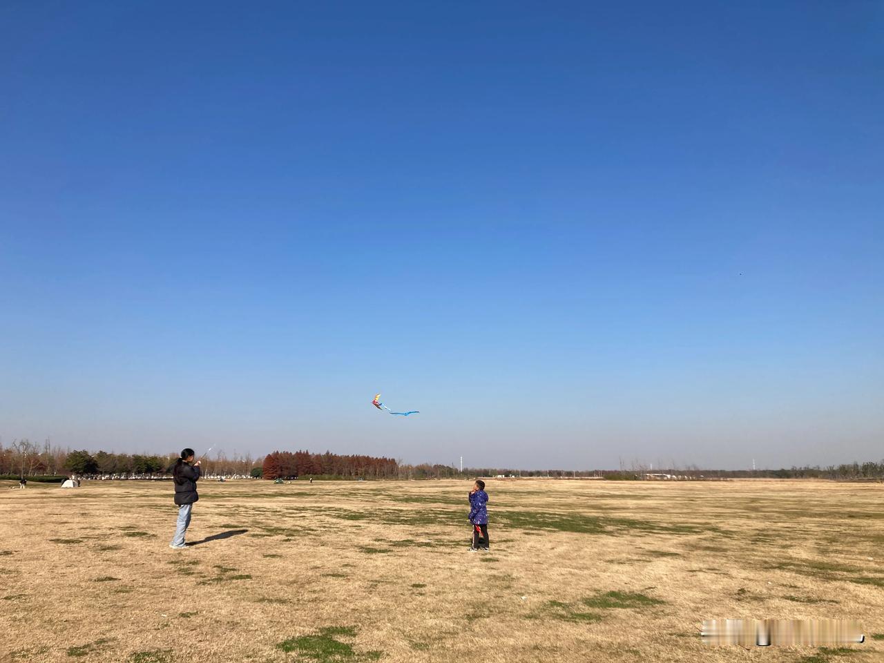 冬季适合露营吗？
周日阳光明媚，中午天气也不算冷。去了一下阳澄湖水泽路露营地，发