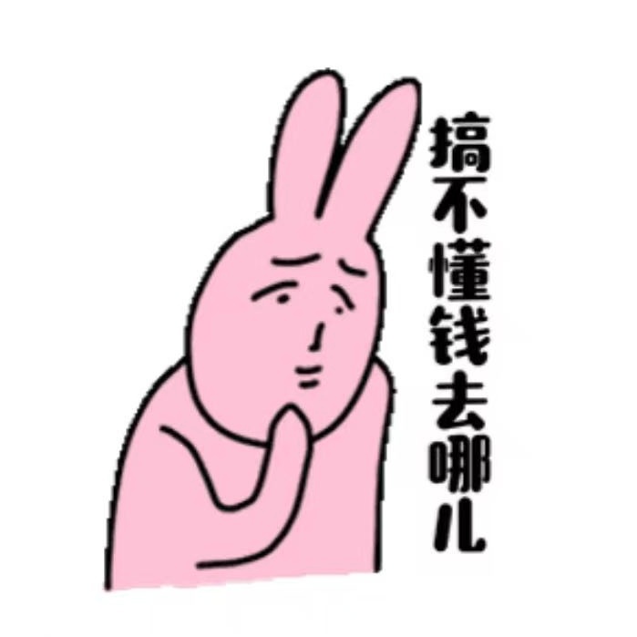 别人是搞钱，我是搞不懂钱去哪了 