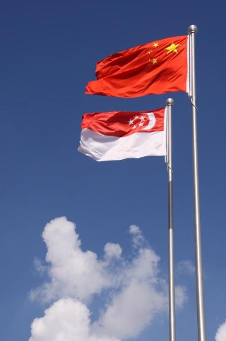 新加坡联合早报昨天发文写道：“几十年来，新加坡深度参与中国改革开放的进程，今后也