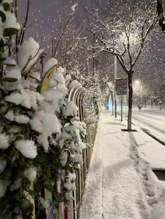 完整榜单
下雪让人快乐的原因找到了

你是否曾在雪花飘落的瞬间深吸一口气，感受到
