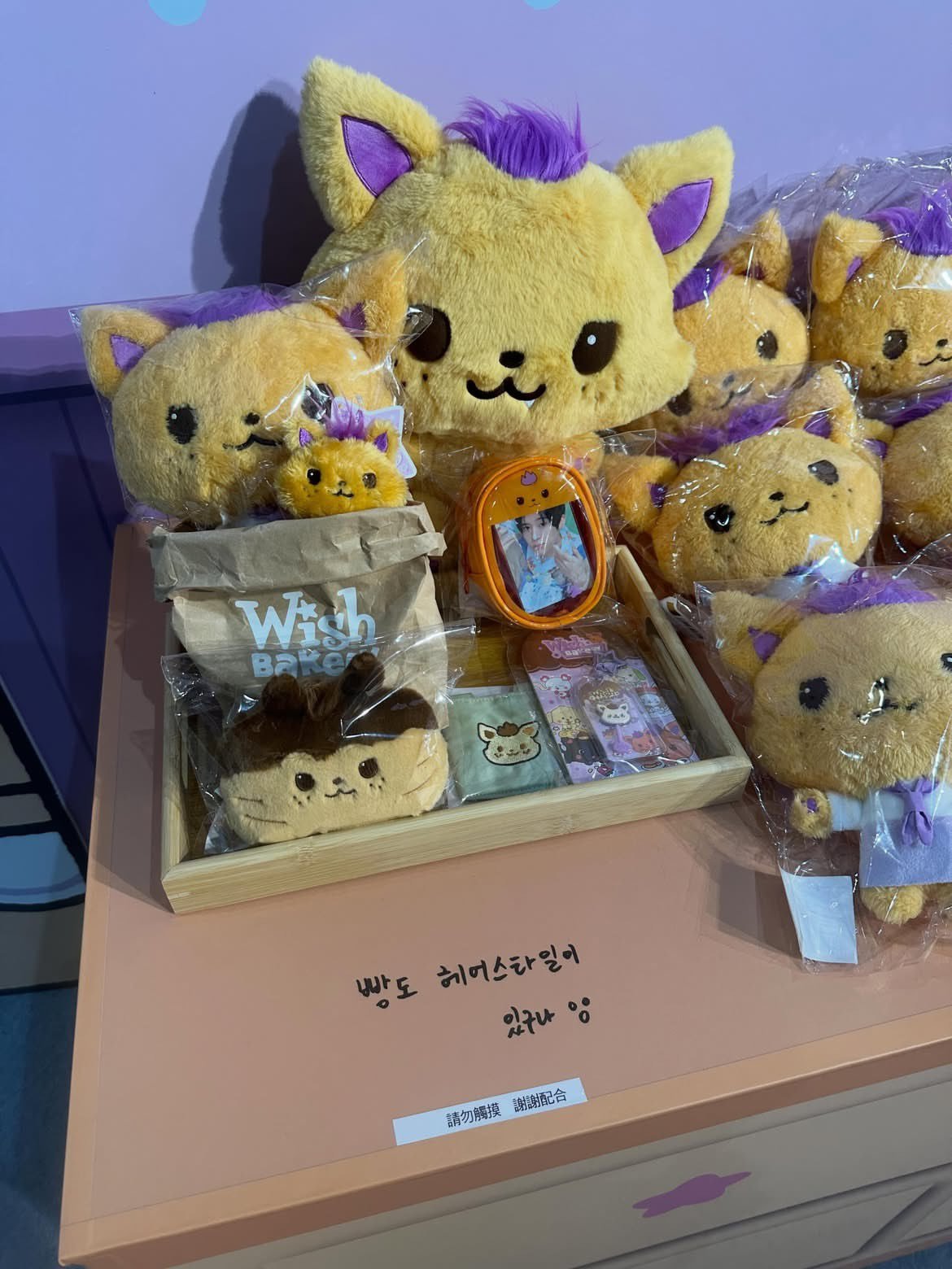 面包也有发型啊⍤⃝260612 台北快闪©网页链接
