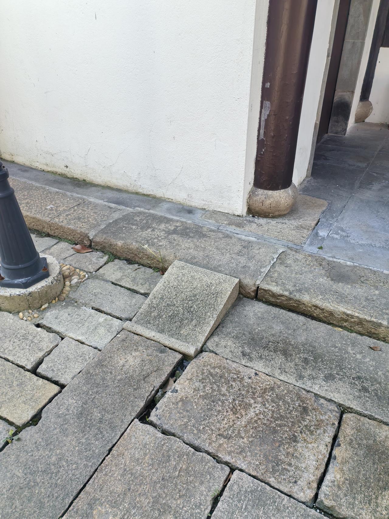 分享一下你随手拍下的照片