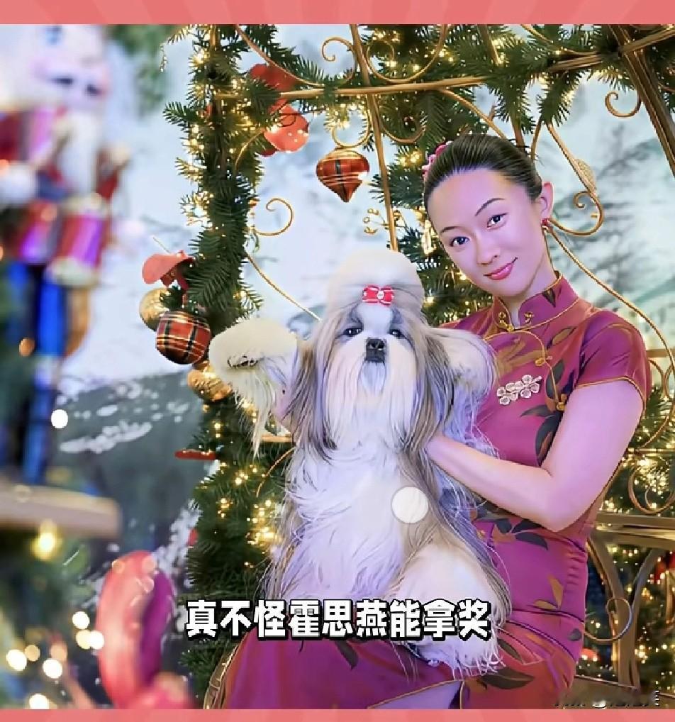 难怪霍思燕能拿奖！

养西施犬的都懂，这毛打理起来太费功夫了
 
霍思燕的西施犬