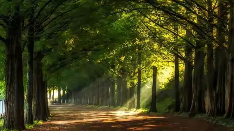 万元首富和万元贫困户
上世纪八十年代中期，我隔壁村一户人家靠植树造林成了万元户，