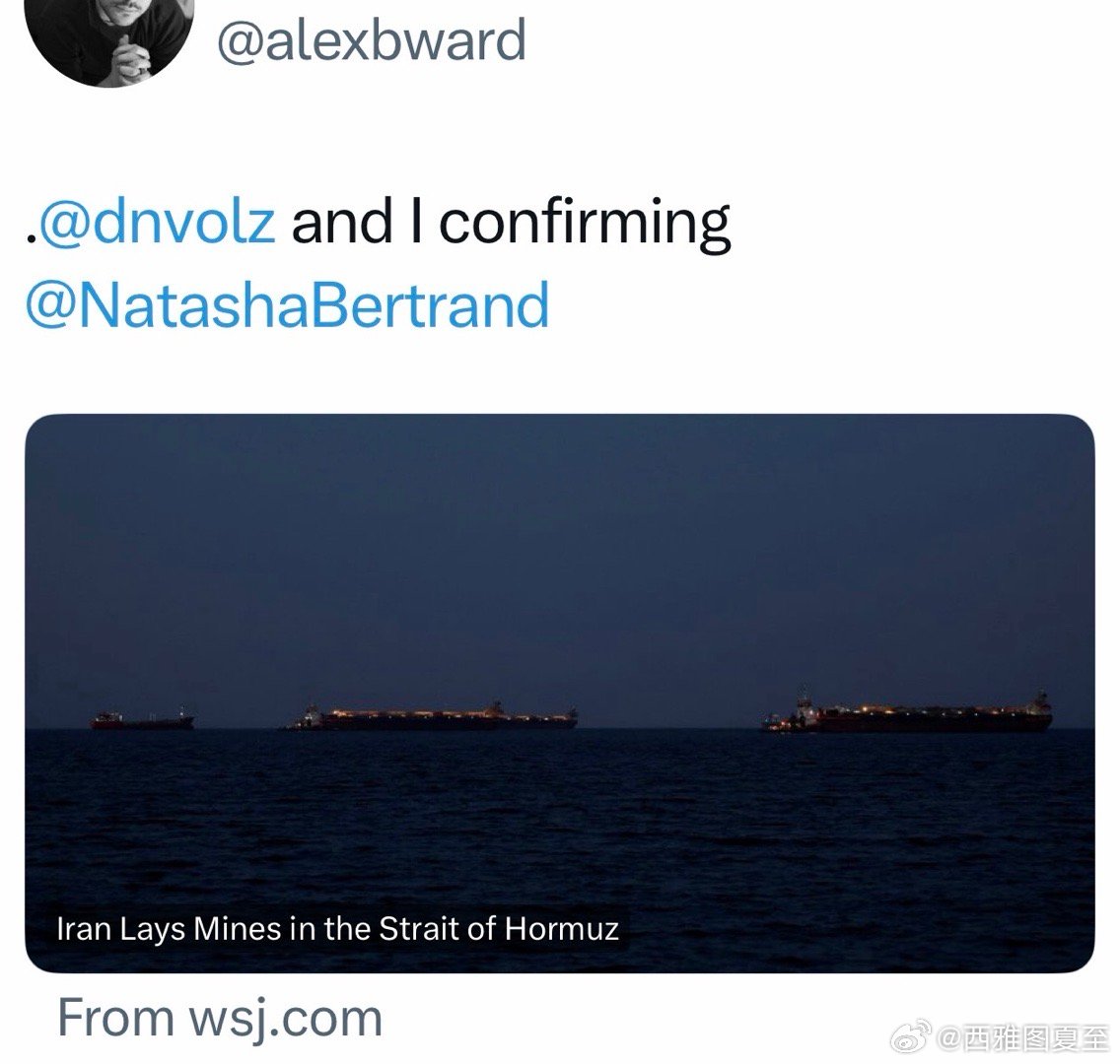 美国媒体多方证实：伊朗已在霍尔木兹海峡布雷，试图扰乱原油市场和交易系统，以此施压