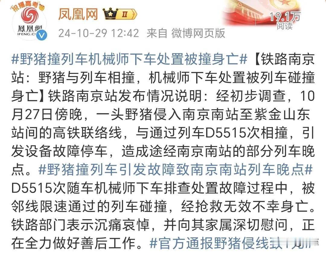 保护的太好了，野猪泛滥成灾了，想起小时候偶尔还能吃到野猪肉，这是难得改善伙食的机