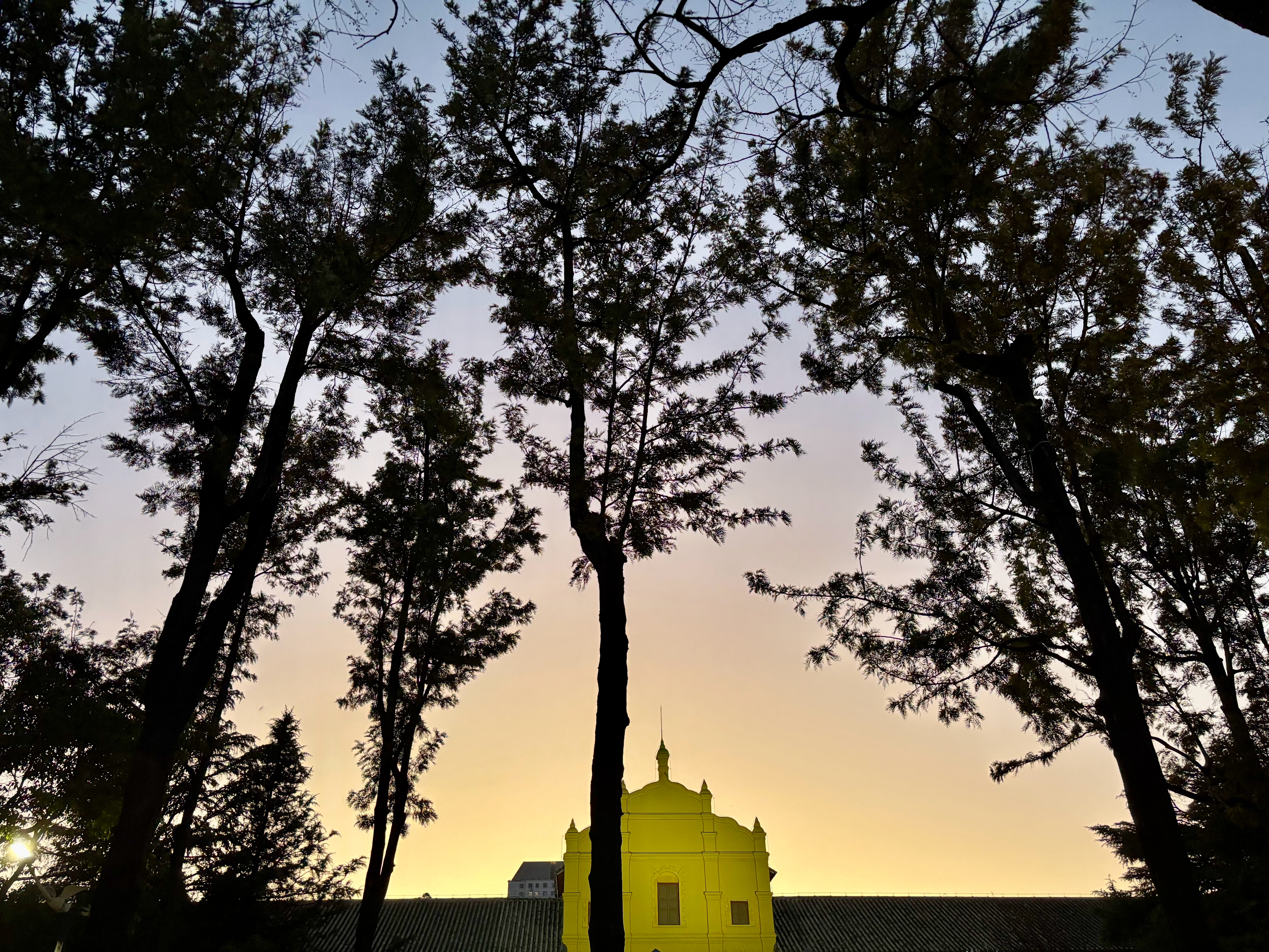 我妈最近一次找我茬的时候是我坚决不同意她的提议再开长途车去亲戚家坚决买了火车票时